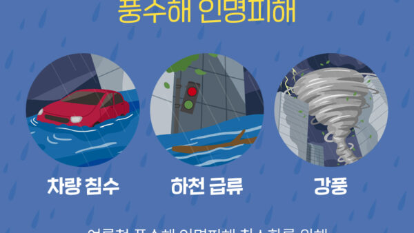 62b3d90a7cc0f2587582.jpg