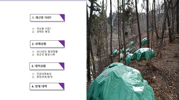 슬라이드3.JPG