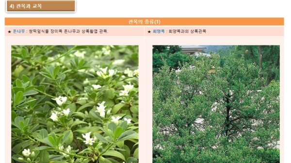 슬라이드11.JPG