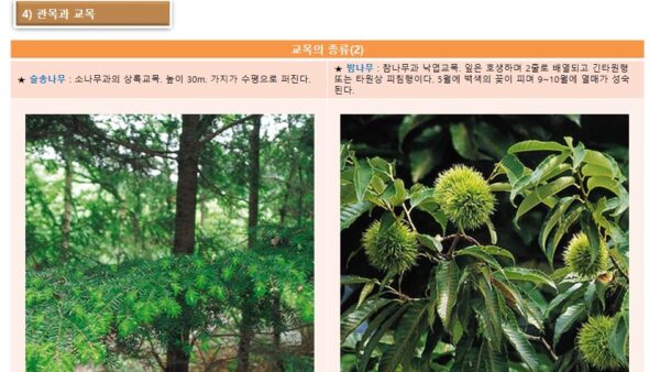 슬라이드15.JPG