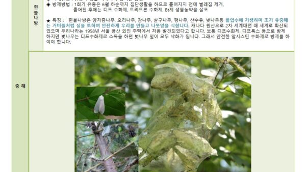 슬라이드2.JPG