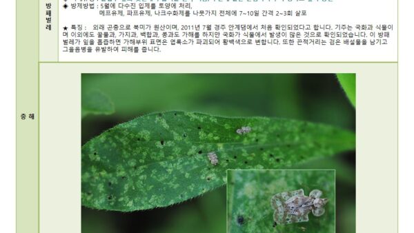 슬라이드3.JPG