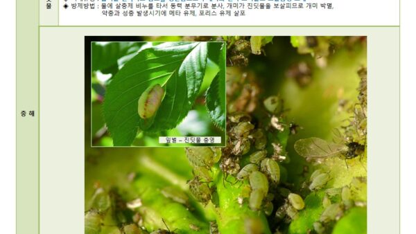 슬라이드5.JPG