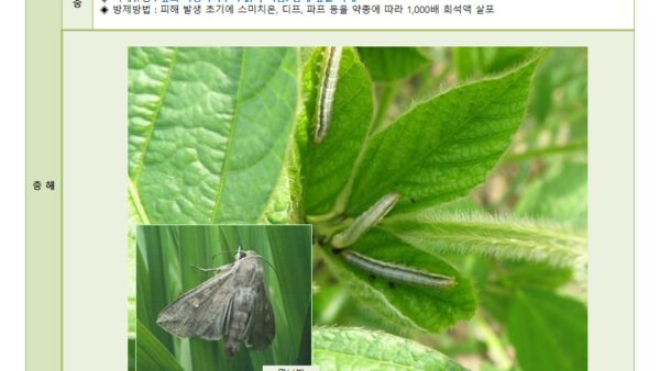 슬라이드6.JPG
