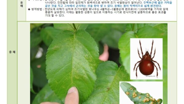 슬라이드7.JPG