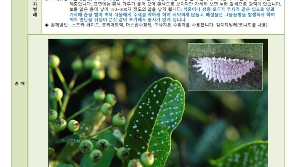 슬라이드8.JPG
