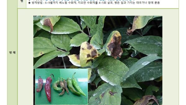 슬라이드9.JPG