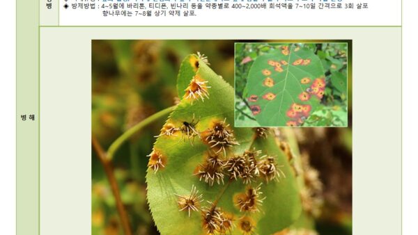 슬라이드10.JPG