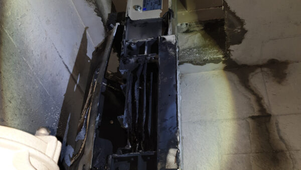 20190130_094212.jpg