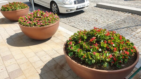 20190412_103909.jpg