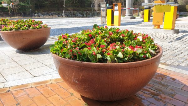 20190412_104233.jpg