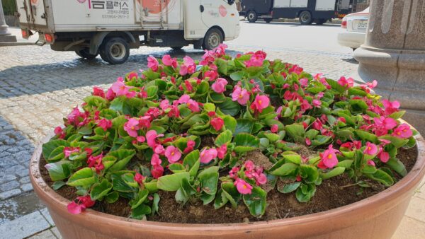 20190412_103915.jpg