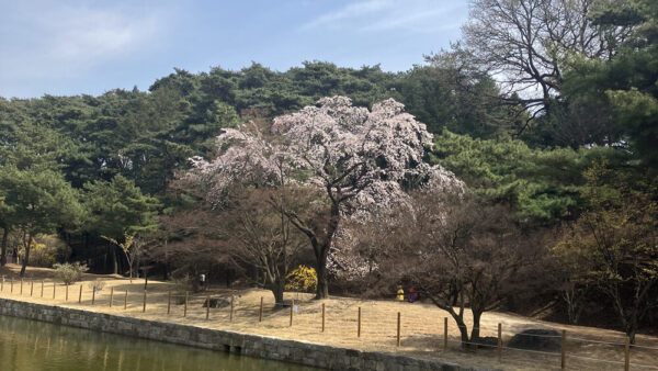KakaoTalk_20230330_163933724-1.jpg