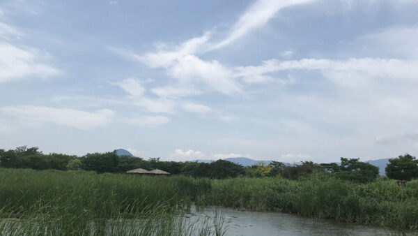 KakaoTalk_20230329_092541391-1.jpg