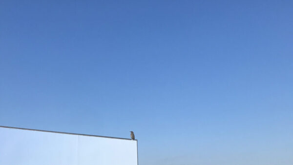KakaoTalk_20230329_092539298-1.jpg