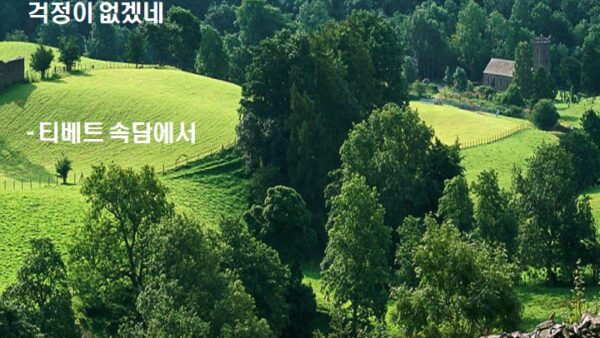 슬라이드8.JPG
