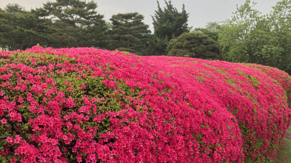KakaoTalk_20230512_164904237-1.jpg