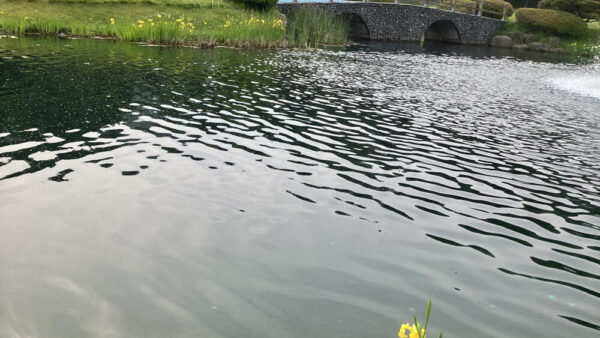KakaoTalk_20230512_164903598-1.jpg