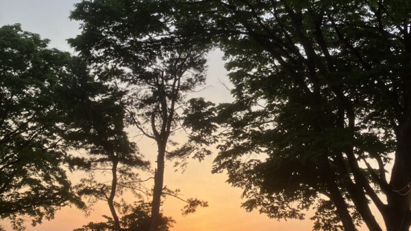 KakaoTalk_20230511_192524150-1.jpg