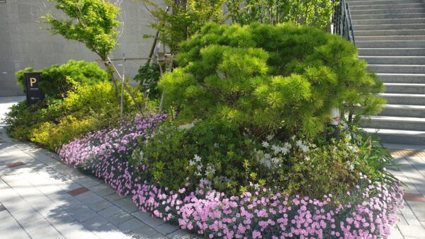 KakaoTalk_20230525_161157332_19.jpg