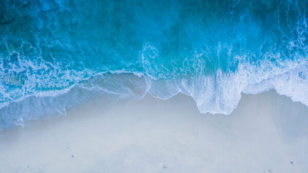 nattu-adnan-Ai2TRdvI6gM-unsplash-1.jpg