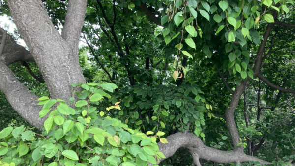 KakaoTalk_20230522_181810800-1.jpg
