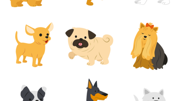 강아지.png