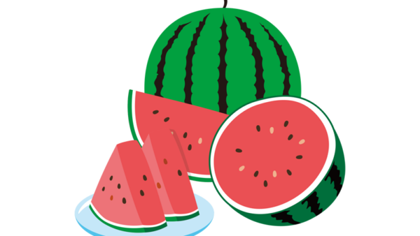 수박-1.png