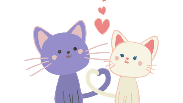 예쁜고양이-1.png