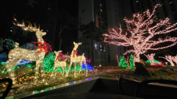 KakaoTalk_20231204_164155217_03.jpg