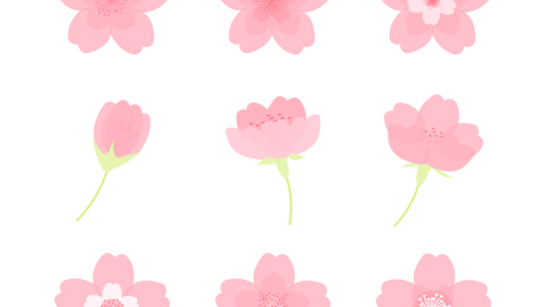 봄벛꽃-1.png