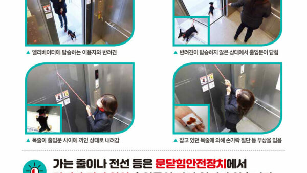 반려견-목줄-사고_탑승-시-꼭-확인해주세요.jpg