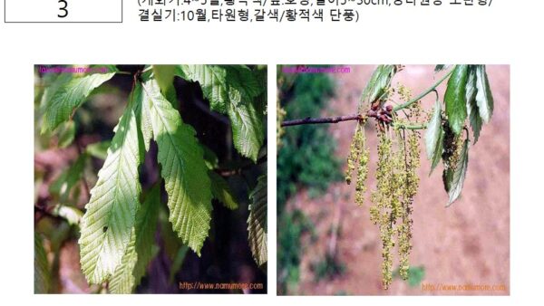 슬라이드13.JPG