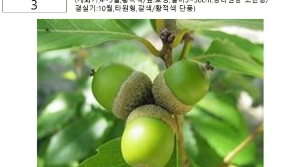 슬라이드14.JPG