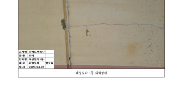 태성빌라-1동-현장사진001.jpg