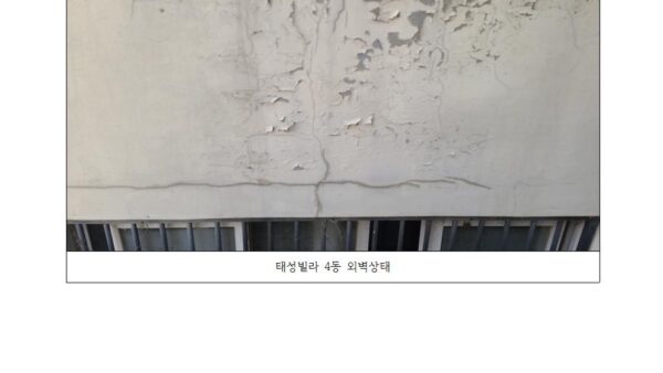 태성빌라-4동-현장사진001.jpg