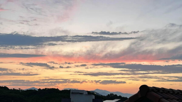 KakaoTalk_20240617_092428617_01-1.jpg