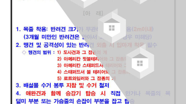 애완견-외출-시-주의사항001.jpg