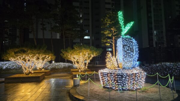 KakaoTalk_20241206_094316866_02.jpg
