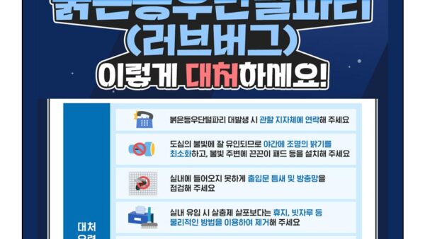 붉은등우단털파리러브버그-관리인002.jpg
