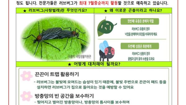 러브버그공고문001.jpg