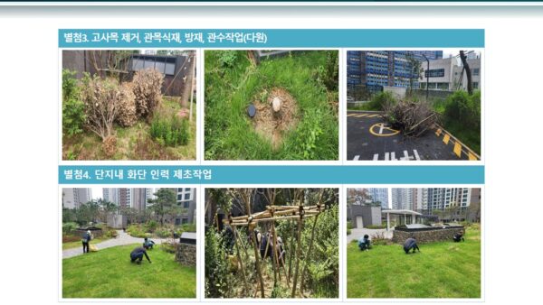 슬라이드11.JPG
